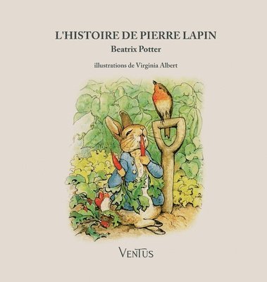 bokomslag L'histoire de Pierre Lapin