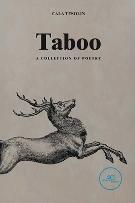 bokomslag Taboo