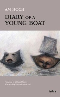 bokomslag Diary of a Young Boat