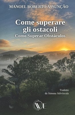 Come Superare Gli Ostacoli 1