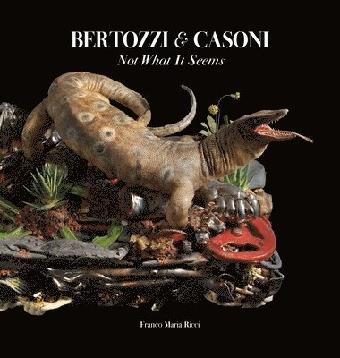 bokomslag Bertozzi & Casoni: Not What It Seems