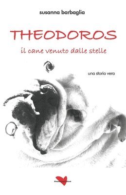 Theodoros, il cane venuto dalle stelle 1