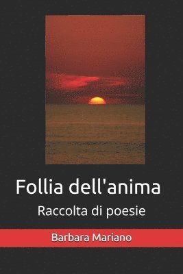 bokomslag Follia dell'anima