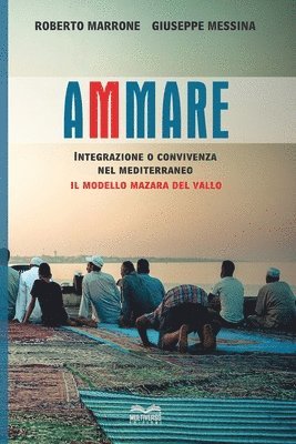 bokomslag Ammare