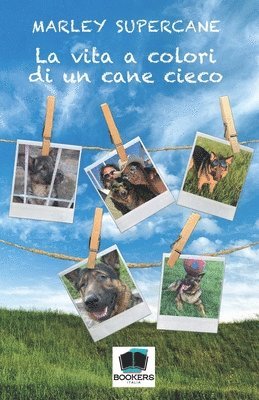 La vita a colori di un cane cieco 1