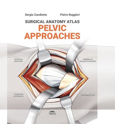 Sergio Candiotto, Pietro Ruggieri - Pelvic Approaches, Inbunden