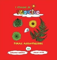 bokomslag Forme meravigliose