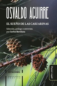 bokomslag sueño de las casuarinas
