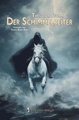 Theodor Storm - Der Schimmelreiter, Häftad