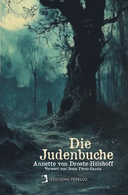 Annette Von Droste-Hülshoff - Die Judenbuche, Häftad