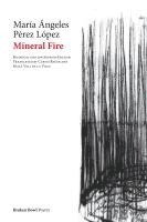 bokomslag Mineral Fire