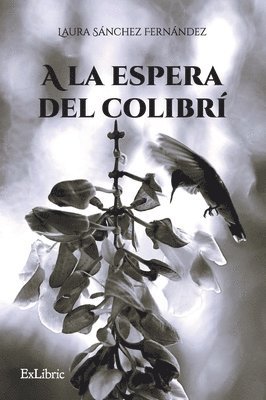 bokomslag A la espera del colibrí