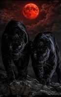 Matthew Petchinsky - Nightfangs Beneath the Crimson Orb, Inbunden. Tillgänglighet: Lägg i varukorg