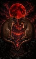 Matthew Petchinsky - Where Two Wild Hearts Meet Beneath the Blood Moon, Inbunden. Tillgänglighet: Lägg i varukorg
