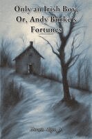 Horatio Alger - Only an Irish Boy; Or, Andy Burke's Fortunes, Häftad