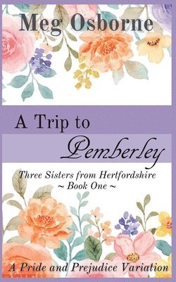Meg Osborne - Trip to Pemberley, Häftad