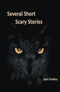 bokomslag Several Short Scary Stories
