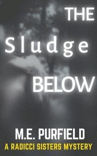 bokomslag The Sludge Below