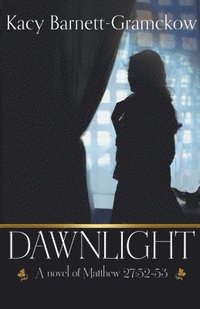 bokomslag Dawnlight