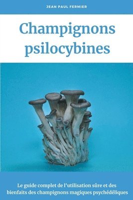 bokomslag Champignons psilocybines