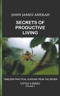 bokomslag Secrets of Productive Living