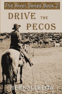 bokomslag Drive the Pecos
