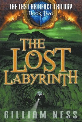 bokomslag The Lost Labyrinth