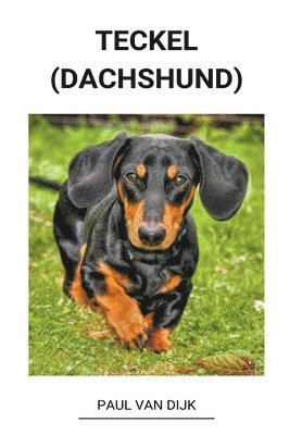 bokomslag Teckel (dachshund)