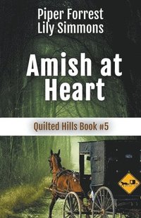 bokomslag Amish At Heart