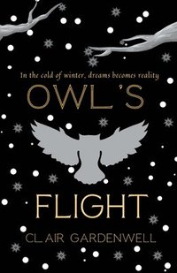 bokomslag Owl's Flight