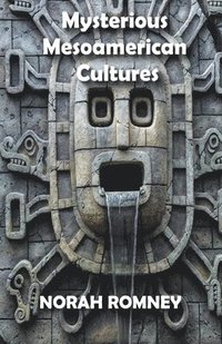 bokomslag Mysterious Mesoamerican Cultures