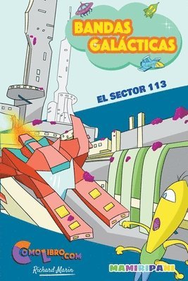 El Sector 113 1