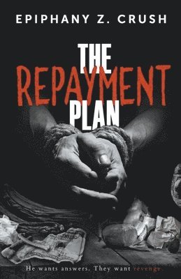 bokomslag The Repayment Plan