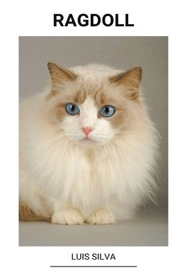 bokomslag Ragdoll