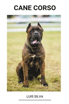 bokomslag Cane Corso