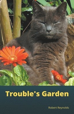 Trouble's Garden 1