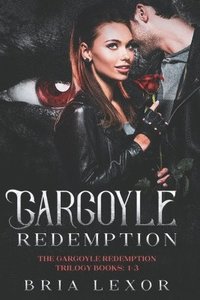 bokomslag Gargoyle Redemption