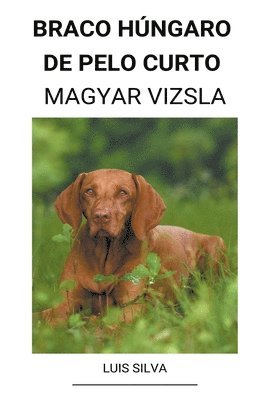 Braco Hngaro de pelo curto (Magyar Vizsla) 1