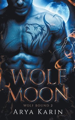 bokomslag Wolf Moon