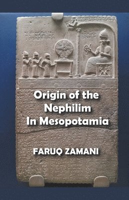 bokomslag Origin of the Nephilim In Mesopotamia