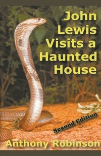 bokomslag John Lewis and the Haunted House