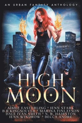 bokomslag High Moon