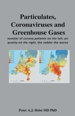 bokomslag Particulates, Coronaviruses and Greenhouse Gases