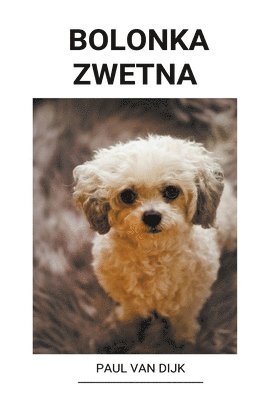 Bolonka Zwetna 1