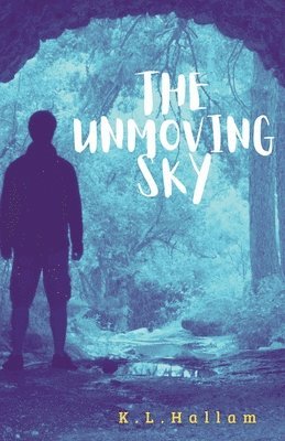 bokomslag Unmoving Sky