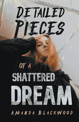 Detailed Pieces of a Shattered Dream 1