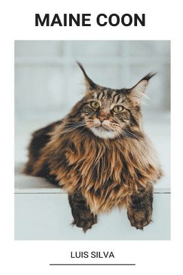 bokomslag Maine Coon