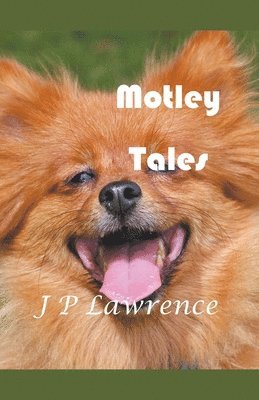 Motley Tales 1