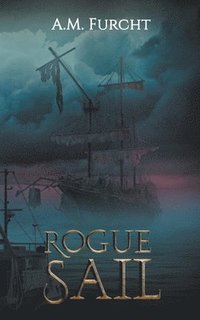 bokomslag Rogue Sail