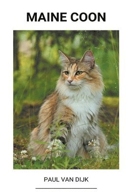 bokomslag Maine Coon